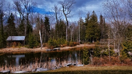 lake in the woods