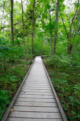 Woodland Trail, Blacklick Metro Park, Reynoldsburg, Ohio