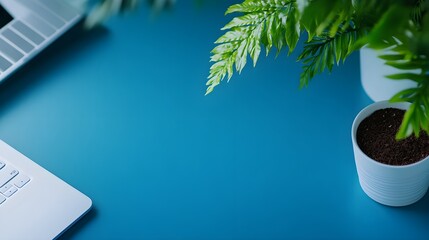 Sleek modern website header with a minimalist layout, responsive design elements that adjust smoothly across devices, showcasing a bold visual identity with clean lines