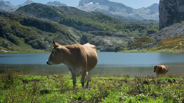 cova donga lakes in the picos de europa national park