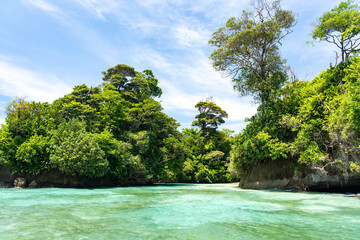 Tropical Beach Paradise with Clear Water, Palm Trees, and Blue Sky - A Serene, Unspoiled Island Destination Offering Eco-Tourism and Adventure Travel in a Beautiful, Scenic Caribbean Setting