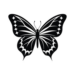 butterfly vector illustration with white background