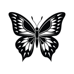 butterfly vector illustration with white background