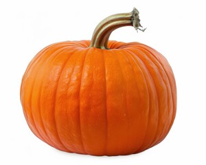 Obraz premium Orange Pumpkin