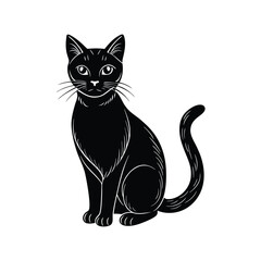 Halloween cat silhouette with white background