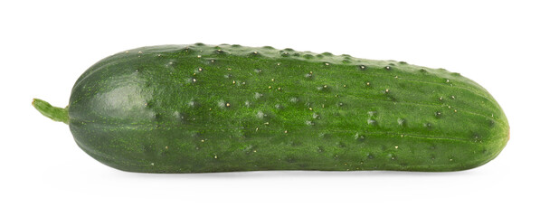 One fresh green cucumber isolated on white