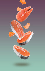 Fresh raw salmon pieces and steaks falling on color gradient background
