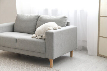Comfortable sofa with pillow near light curtain in room