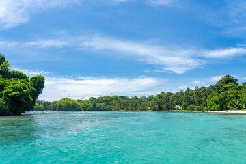 Tropical Beach Paradise with Palm Trees and Rocky Coastline in the caribbean Islands, Featuring Stunning Ocean Views, Sandy Shores, and Lush Island Landscapes, Perfect for Travel and Vacation Getaways
