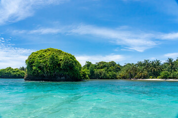 Tropical Beach Paradise with Palm Trees and Rocky Coastline in the caribbean Islands, Featuring Stunning Ocean Views, Sandy Shores, and Lush Island Landscapes, Perfect for Travel and Vacation Getaways