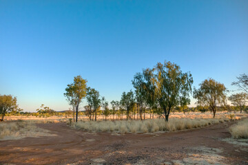 Arid landscape at dusk near the Plenty Highway in the Northern Territory, Australia