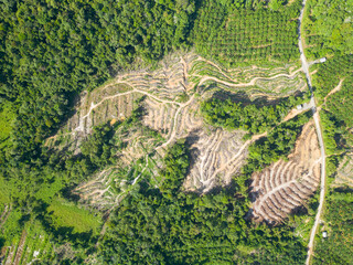 Aerial view of land clearing or deforestation on hilly terrain. A process to prepare the land for palm oil plantation, or farming. 