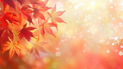 Fototapeta premium Autumn Leaves with Bokeh Background.