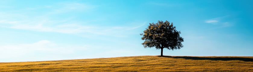 Fototapeta premium Tranquil landscape featuring a lone tree on a gently rolling hill under a bright blue sky, capturing the beauty of solitude and nature's simplicity.