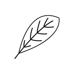 simple leaf icon