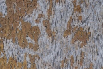 Abstract background of old wood texture