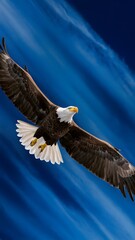 Obraz premium Harpy Eagle Flying with Blue Sky Background, Realistic Photo, Pattern Background, Wallpaper, Cover and Screen for Smartphone, Cell Phone, Computer, Laptop