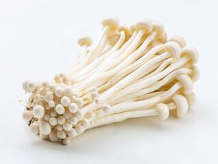 Fresh enoki mushroom on white background