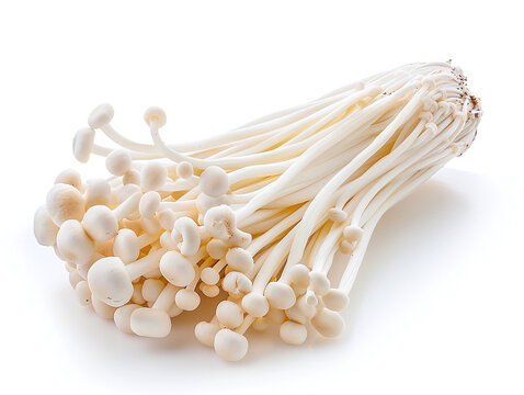 Fresh enoki mushroom on white background
