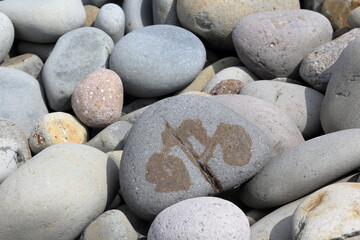 鳴り石の浜。波で石がぶつかりカラコロと音がする浜