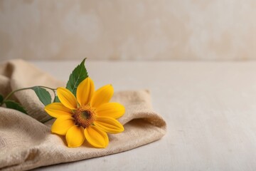 A Single Yellow Flower Resting on a Tan Fabric