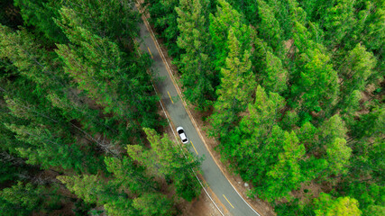 Aerial view of dark green forest road and white electric car Natural landscape and elevated roads Adventure travel and transportation and environmental protection concept