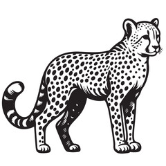 leopard cartoon isolated on white