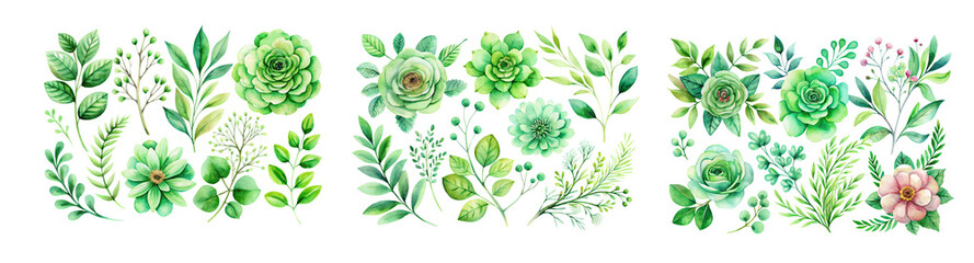 Fototapeta premium Green Watercolor Floral Element on Transparent Background – High-Resolution PNG