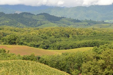 Fototapeta premium landscape with hills and blue sky