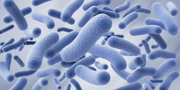 Probiotic bacteria, Lactobacillus , 3d illustration.