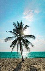 Beach in Sihanoukville. Palm trees and blue sea