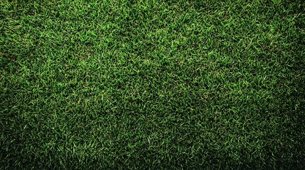 Obraz premium Lush Green Grass Texture.