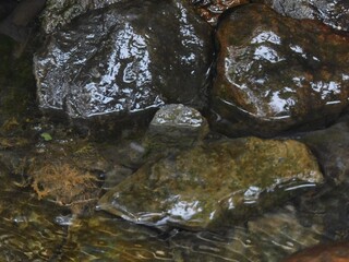 waterfall in the forest