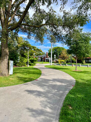 Park path nature trees into residential are green grass blue sky