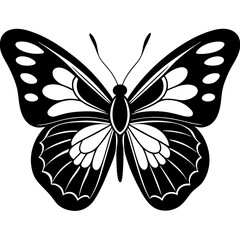 Butterfly isolated on white, butterfly vector illustration, animal vector art, butterfly silhouette, butterfly vector icon, butterfly line art, eps