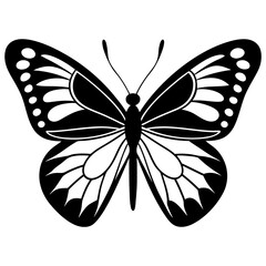 Butterfly isolated on white, butterfly vector illustration, animal vector art, butterfly silhouette, butterfly vector icon, butterfly line art, eps