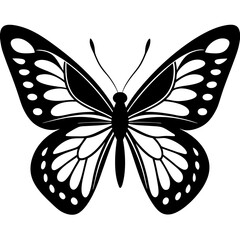 Butterfly isolated on white, butterfly vector illustration, animal vector art, butterfly silhouette, butterfly vector icon, butterfly line art, eps