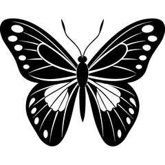 Butterfly isolated on white, butterfly vector illustration, animal vector art, butterfly silhouette, butterfly vector icon, butterfly line art, eps