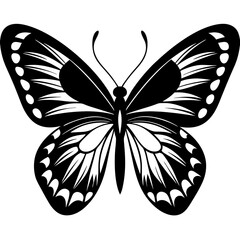 Butterfly isolated on white, butterfly vector illustration, animal vector art, butterfly silhouette, butterfly vector icon, butterfly line art, eps