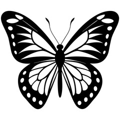 Butterfly isolated on white, butterfly vector illustration, animal vector art, butterfly silhouette, butterfly vector icon, butterfly line art, eps