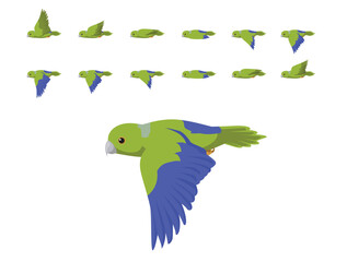 Cobalt-Rumped Parrotlet Forpus Parrot Flying Animation Sequence Cartoon Vector