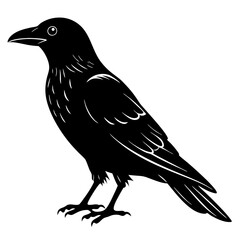 crow isolated on white, crow vector illustration, petvector art, crow silhouette, animal vector icon, crow line art, eps