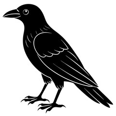 Obraz premium crow isolated on white, crow vector illustration, petvector art, crow silhouette, animal vector icon, crow line art, eps