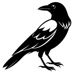 Obraz premium crow isolated on white, crow vector illustration, petvector art, crow silhouette, animal vector icon, crow line art, eps