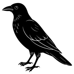 crow isolated on white, crow vector illustration, petvector art, crow silhouette, animal vector icon, crow line art, eps