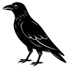 Fototapeta premium crow isolated on white, crow vector illustration, petvector art, crow silhouette, animal vector icon, crow line art, eps