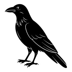 crow isolated on white, crow vector illustration, petvector art, crow silhouette, animal vector icon, crow line art, eps