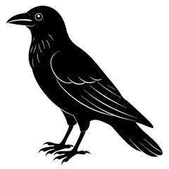 crow isolated on white, crow vector illustration, petvector art, crow silhouette, animal vector icon, crow line art, eps