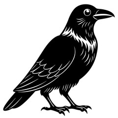 crow isolated on white, crow vector illustration, petvector art, crow silhouette, animal vector icon, crow line art, eps