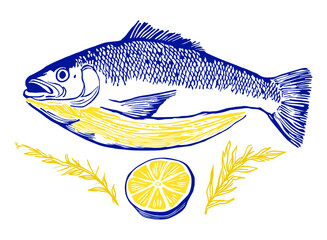 Fish on a white background with a focus on fresh carp isolated in a simple vector style